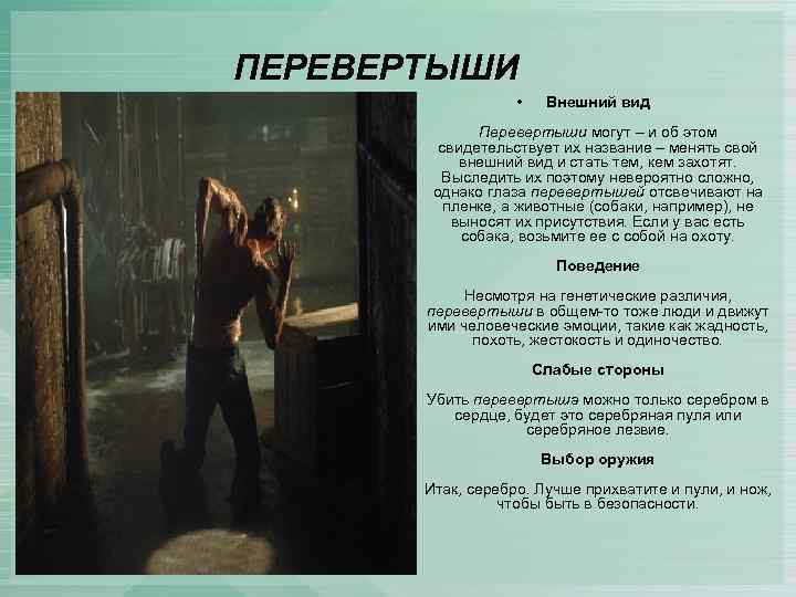 ПЕРЕВЕРТЫШИ • Внешний вид Перевертыши могут – и об этом свидетельствует их название –