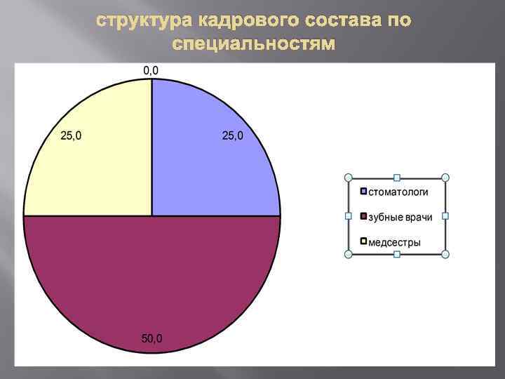 структура кадрового состава по специальностям 