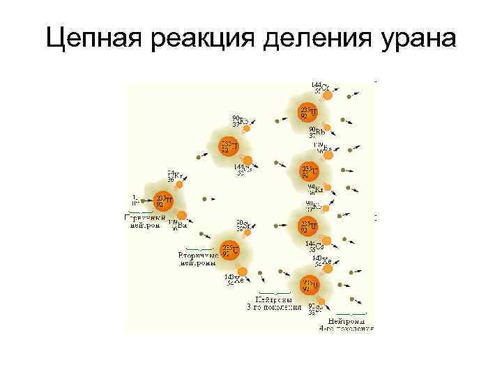 Цепная реакция деления урана 