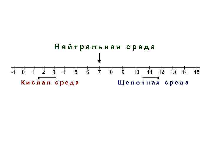 Нейтральная среда -1 0 1 2 3 4 5 Кислая среда 6 7 8