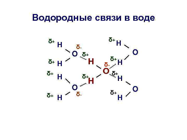 Ph3 тип химической связи. Водородная связь в воде схема. Образование водородных связей в молекуле воды. Схема образования водородной связи воды. Водородная связь между молекулами воды схема.