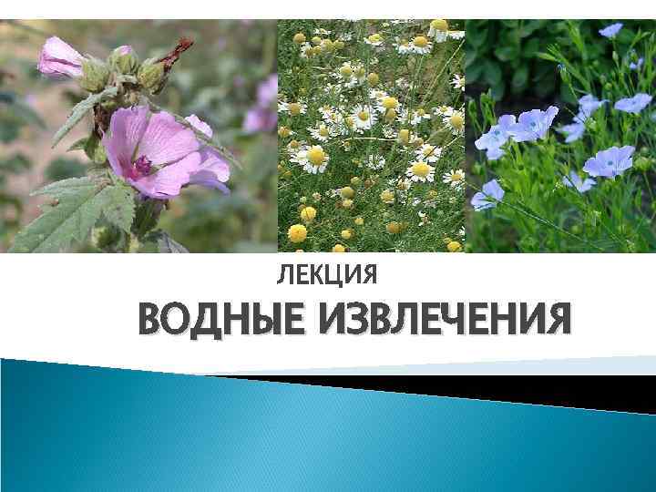 ЛЕКЦИЯ ВОДНЫЕ ИЗВЛЕЧЕНИЯ 