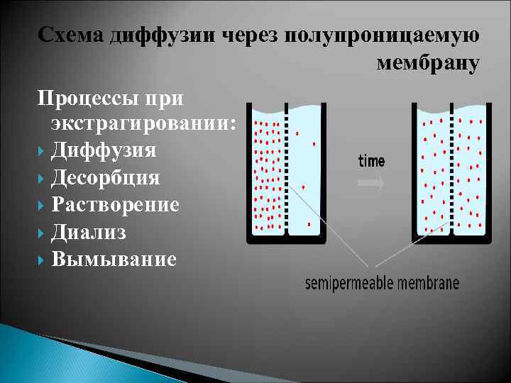 Схема диффузии через полупроницаемую мембрану Процессы при экстрагировании: Диффузия Десорбция Растворение Диализ Вымывание 