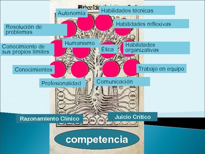 Autonomía Habilidades técnicas Habilidades reflexivas Resolución de problemas Conocimiento de sus propios límites Humanismo