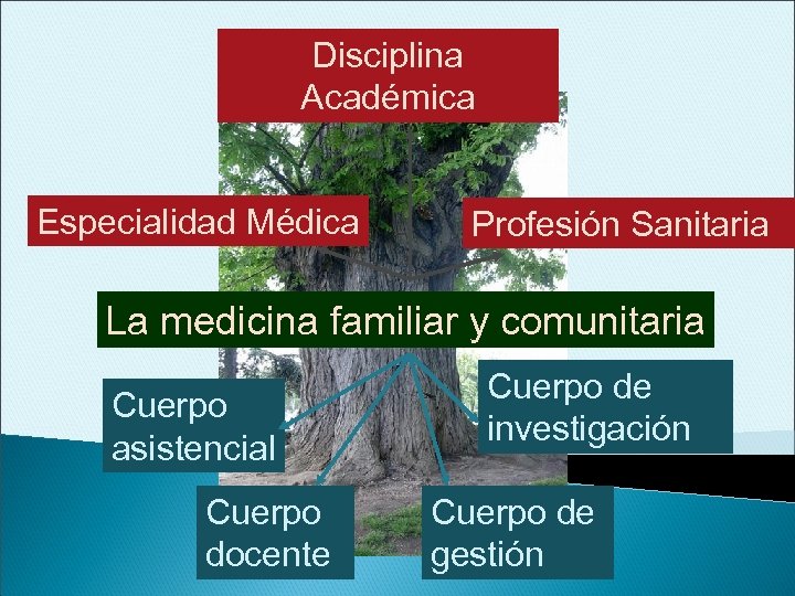 Disciplina Académica Especialidad Médica Profesión Sanitaria La medicina familiar y comunitaria Cuerpo asistencial Cuerpo