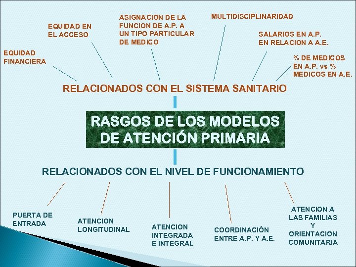 EQUIDAD EN EL ACCESO ASIGNACION DE LA FUNCION DE A. P. A UN TIPO