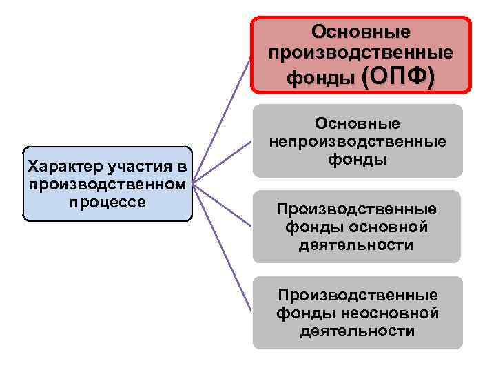 Основные производственные фонды (ОПФ) Характер участия в производственном процессе Основные непроизводственные фонды Производственные фонды