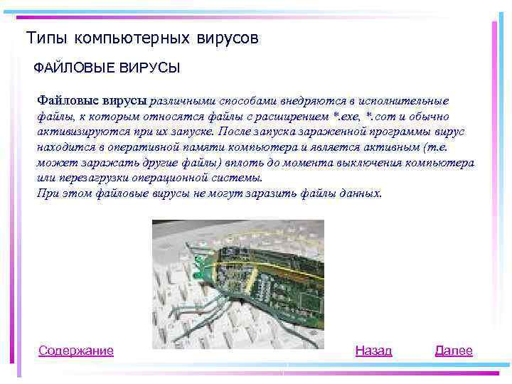 Типы компьютерных вирусов ФАЙЛОВЫЕ ВИРУСЫ Файловые вирусы различными способами внедряются в исполнительные файлы, к