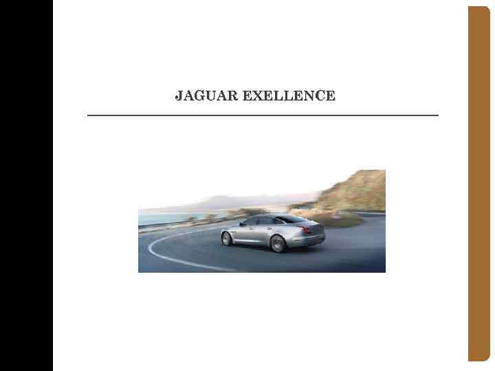 JAGUAR EXELLENCE 