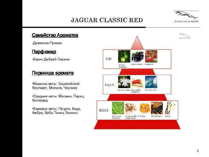 JAGUAR CLASSIC RED Семейство Ароматов • Древесно-Пряное Парфюмер • Карин Дюбрей Серени Пирамида аромата