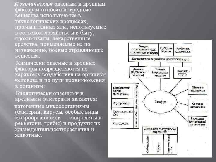 Факторы воздействия на окружающую среду схема. Вредные и опасные факторы окружающей среды. Воздействие человека на окружающую среду схема. Влияние вредных факторов на растения. Влияние вредных веществ на организм.