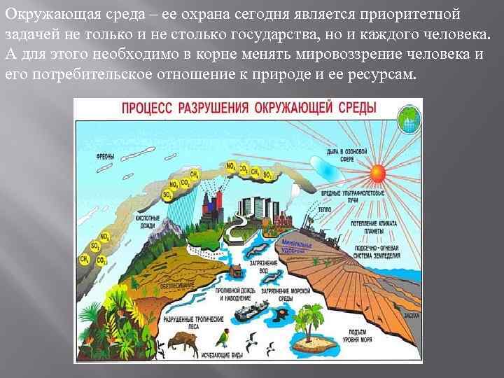 Окружающая среда – ее охрана сегодня является приоритетной задачей не только и не столько