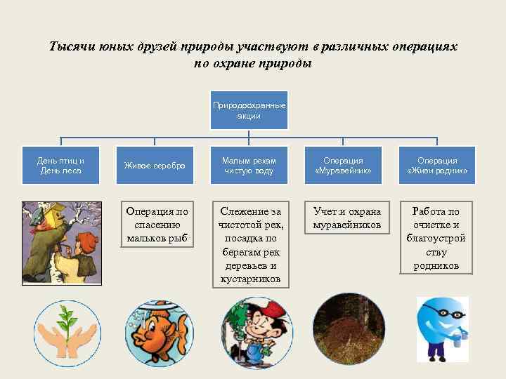 Тысячи юных друзей природы участвуют в различных операциях по охране природы Природоохранные акции День