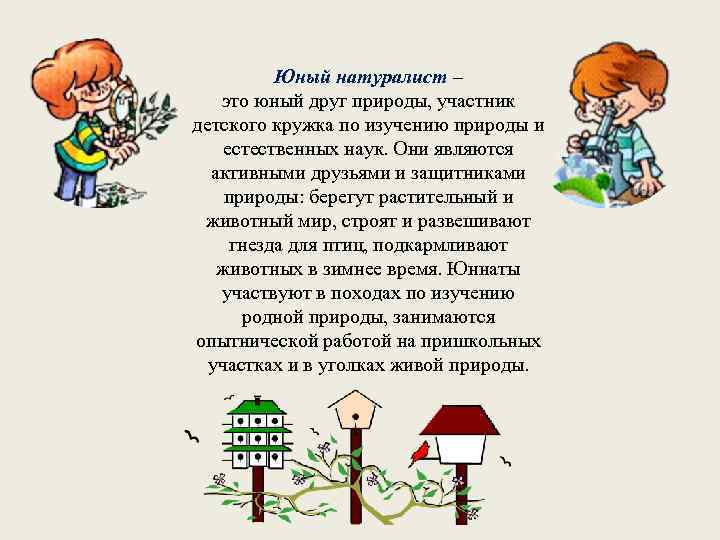 Юный натуралист – это юный друг природы, участник детского кружка по изучению природы и