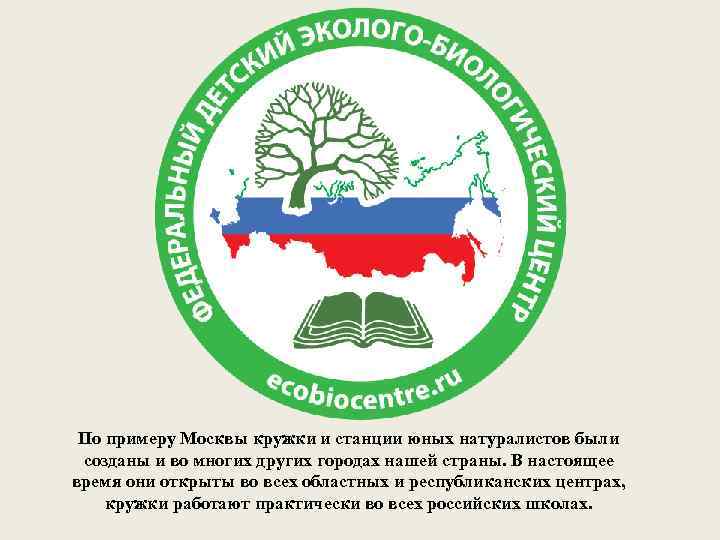 По примеру Москвы кружки и станции юных натуралистов были созданы и во многих других