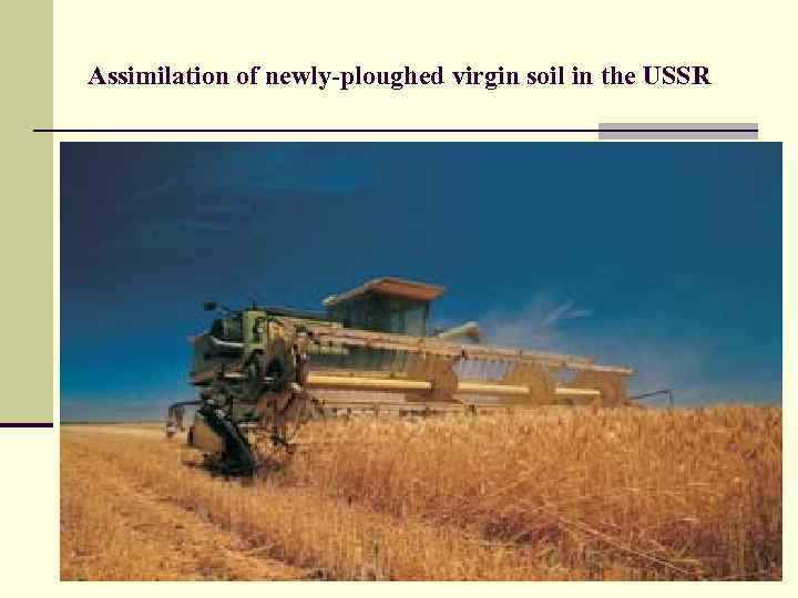 Assimilation of newly-ploughed virgin soil in the USSR 
