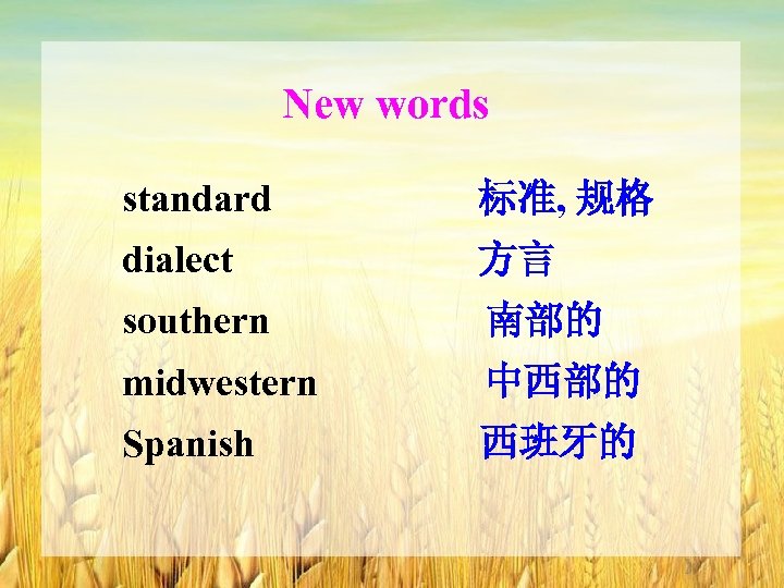 New words standard 标准, 规格 dialect 方言 southern 南部的 midwestern 中西部的 Spanish 西班牙的 
