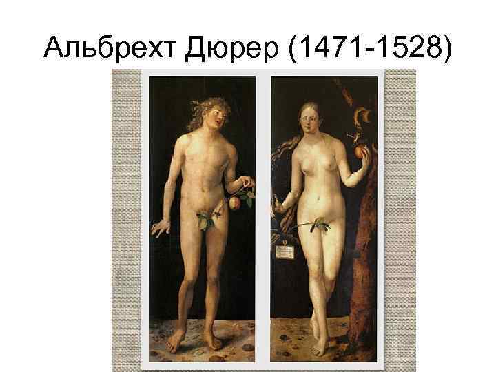 Альбрехт Дюрер (1471 -1528) 