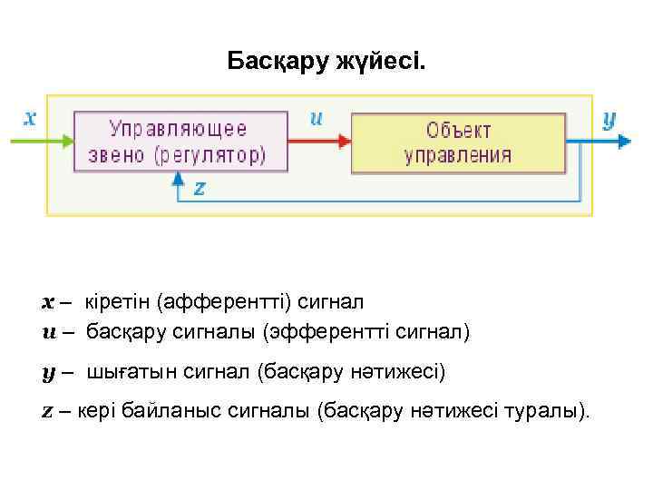 Басқару жүйесі. x – кіретін (афферентті) сигнал u – басқару сигналы (эфферентті сигнал) y