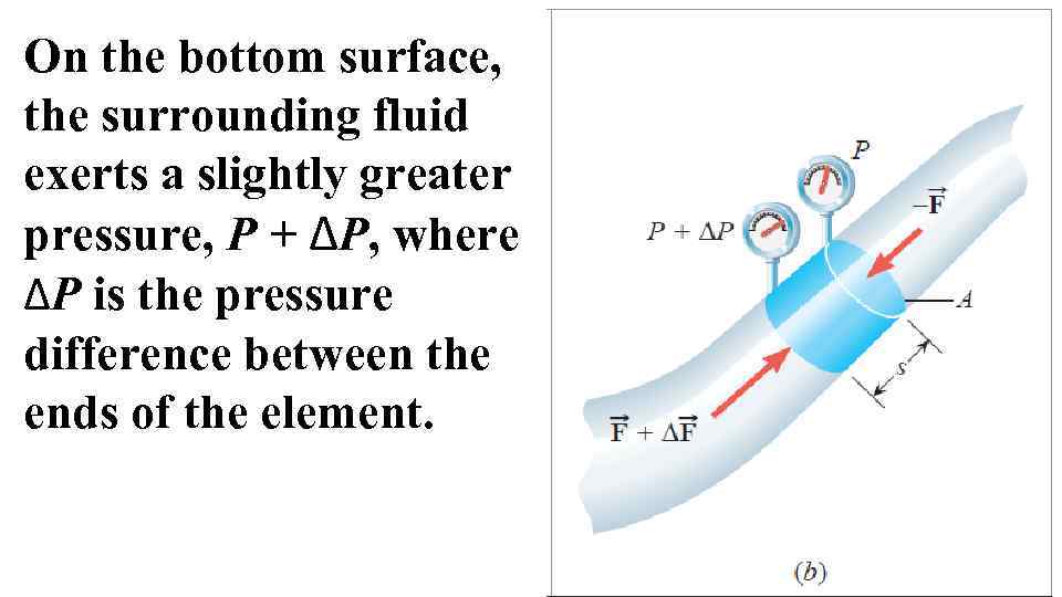 On the bottom surface, the surrounding fluid exerts a slightly greater pressure, P +