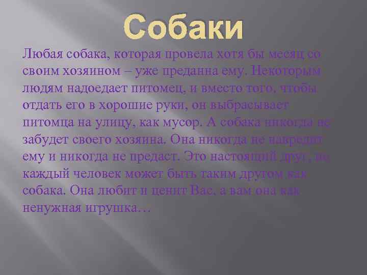 Собаки Любая собака, которая провела хотя бы месяц со своим хозяином – уже преданна