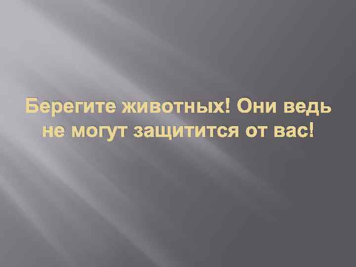 Берегите животных! Они ведь не могут защитится от вас! 