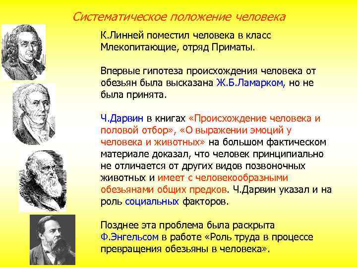 Систематическое положение человека К. Линней поместил человека в класс Млекопитающие, отряд Приматы. Впервые гипотеза