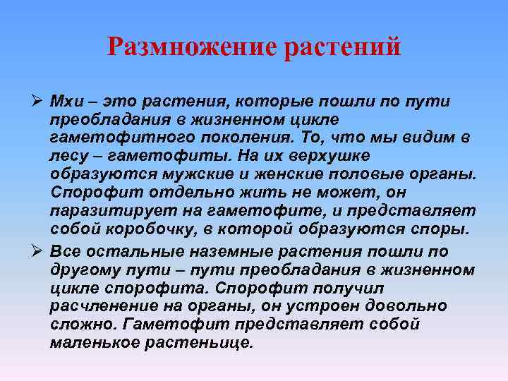 Размножение растений Ø Мхи – это растения, которые пошли по пути преобладания в жизненном