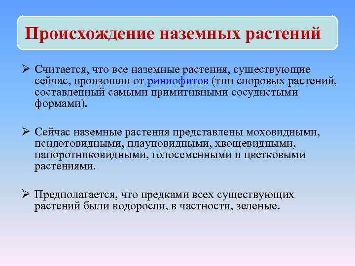 Происхождение наземных растений Ø Считается, что все наземные растения, существующие сейчас, произошли от риниофитов