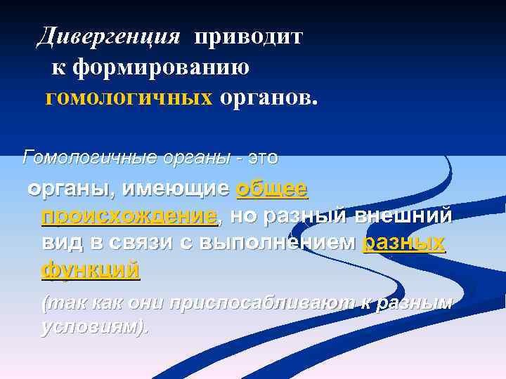 Дивергенция приводит к формированию гомологичных органов. Гомологичные органы - это органы, имеющие общее происхождение,