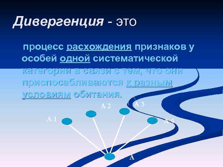 Дивергенция - это процесс расхождения признаков у особей одной систематической категории в связи с