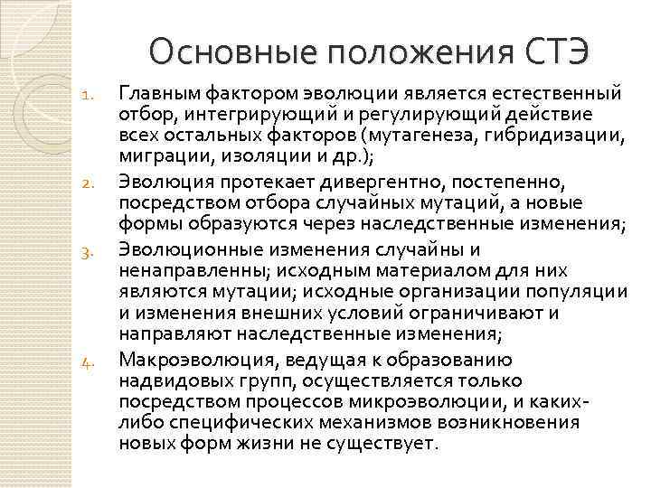 Развитие протекает. Основные положения СТЭ эволюции. Основные положения синтетической теории эволюции. Положения теории СТЭ. Основные положения современной теории эволюции.