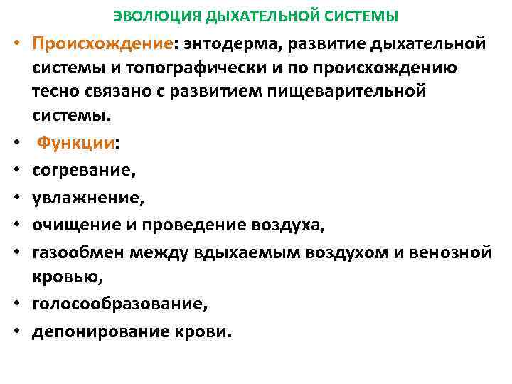 ЭВОЛЮЦИЯ ДЫХАТЕЛЬНОЙ СИСТЕМЫ • Происхождение: энтодерма, развитие дыхательной системы и топографически и по происхождению
