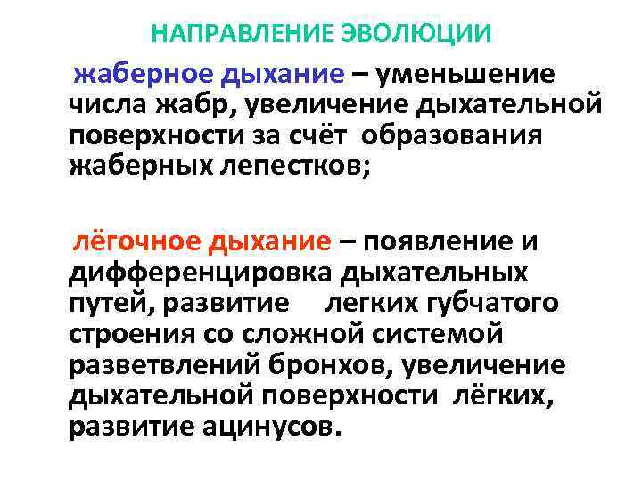 НАПРАВЛЕНИЕ ЭВОЛЮЦИИ жаберное дыхание – уменьшение числа жабр, увеличение дыхательной поверхности за счёт образования
