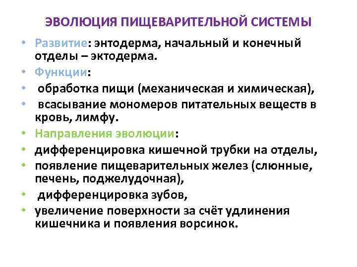 ЭВОЛЮЦИЯ ПИЩЕВАРИТЕЛЬНОЙ СИСТЕМЫ • Развитие: энтодерма, начальный и конечный отделы – эктодерма. • Функции: