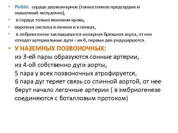  • РЫБЫ: сердце двухкамерное (тонкостенное предсердие и мышечный желудочек), • в сердце только