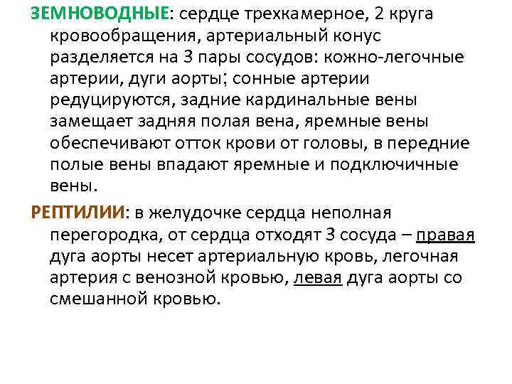 ЗЕМНОВОДНЫЕ: сердце трехкамерное, 2 круга кровообращения, артериальный конус разделяется на 3 пары сосудов: кожно-легочные