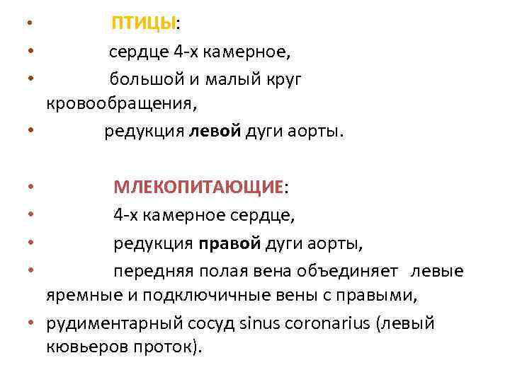 • ПТИЦЫ: сердце 4 -х камерное, большой и малый круг кровообращения, • редукция