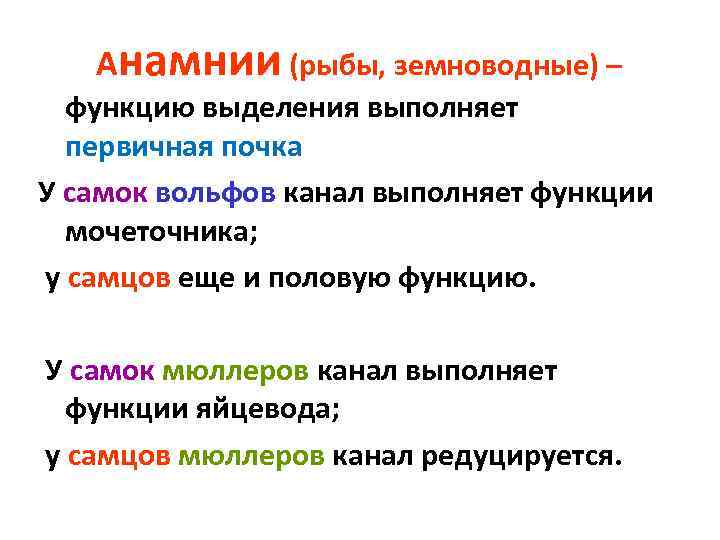  Анамнии (рыбы, земноводные) – функцию выделения выполняет первичная почка У самок вольфов канал
