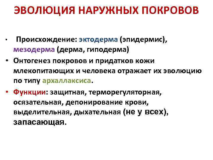 Элементарной эволюционной единицей является вид. Синтетическая теория эволюции картинки. Эволюцию по типу архаллаксиса.