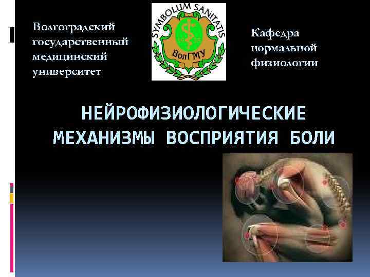 Волгоградский государственный медицинский университет Кафедра нормальной физиологии НЕЙРОФИЗИОЛОГИЧЕСКИЕ МЕХАНИЗМЫ ВОСПРИЯТИЯ БОЛИ 