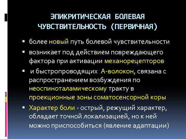 Схему структурной организации восприятия первичной локализованной боли эпикритической