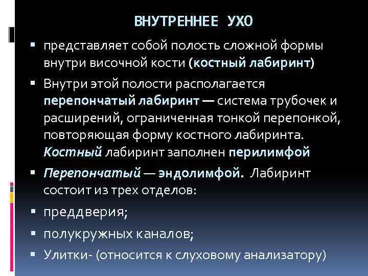 ВНУТРЕННЕЕ УХО представляет собой полость сложной формы внутри височной кости (костный лабиринт) Внутри этой
