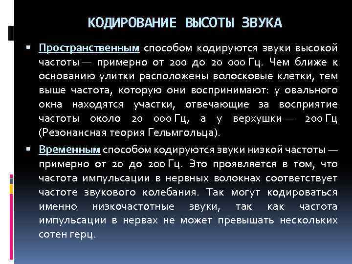 КОДИРОВАНИЕ ВЫСОТЫ ЗВУКА Пространственным способом кодируются звуки высокой частоты — примерно от 200 до