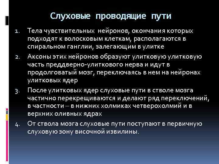 Слуховые проводящие пути Тела чувствительных нейронов, окончания которых подходят к волосковым клеткам, располагаются в