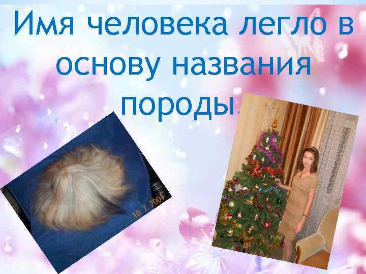 Имя человека легло в основу названия породы. 