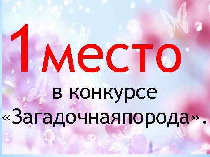 1 место в конкурсе «Загадочнаяпорода» . 