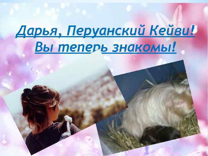 Дарья, Перуанский Кейви! Вы теперь знакомы! 