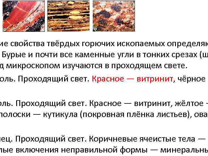 ие свойства твёрдых горючих ископаемых определяю Бурые и почти все каменные угли в тонких