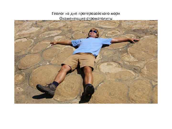 Геолог на дне протерозойского моря Окаменевшие строматолиты 